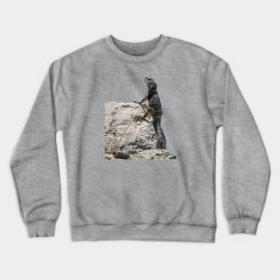 Lizard Sunbathing On A Rock Vector Crewneck Sweatshirt